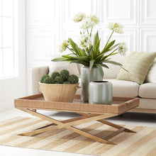 Load image into Gallery viewer, Real Touch Agave Foliage Spray