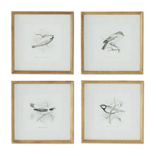 Load image into Gallery viewer, Bird Sketch in Wood Frame
