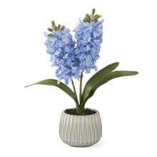 Load image into Gallery viewer, Real Touch Hyacinth in White Ceramic Pot