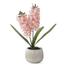 Load image into Gallery viewer, Real Touch Hyacinth in White Ceramic Pot