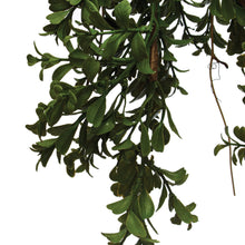 Load image into Gallery viewer, Faux Boxwood & Pine Garland