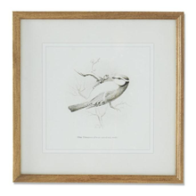 Load image into Gallery viewer, Bird Sketch in Wood Frame
