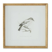 Load image into Gallery viewer, Bird Sketch in Wood Frame