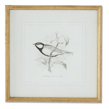 Load image into Gallery viewer, Bird Sketch in Wood Frame