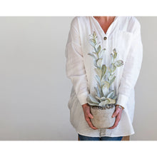 Load image into Gallery viewer, Faux Succulent in Cement Pot