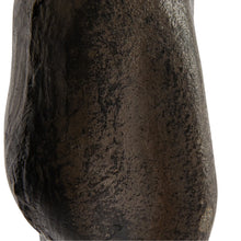 Load image into Gallery viewer, Cast Iron Kissing Frog Prince