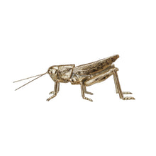 Load image into Gallery viewer, Gold Resin & Metal Grasshopper,