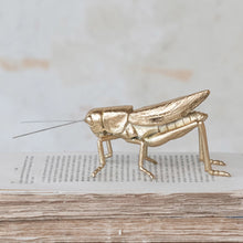 Load image into Gallery viewer, Gold Resin & Metal Grasshopper,