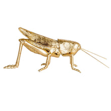 Load image into Gallery viewer, Gold Resin & Metal Grasshopper,