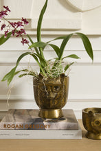 Load image into Gallery viewer, Eloise Flower Pot