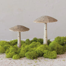 Load image into Gallery viewer, Carved Wood Mushroom w/ Dots Decor