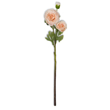 Load image into Gallery viewer, 25 Inch Real Touch Triple Bloom Ranunculus