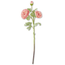 Load image into Gallery viewer, 25 Inch Real Touch Triple Bloom Ranunculus
