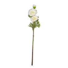 Load image into Gallery viewer, 25 Inch Real Touch Triple Bloom Ranunculus