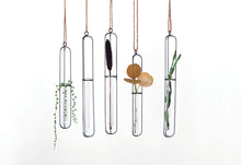 Load image into Gallery viewer, Metal and Glass Hanging Test Tube Vase