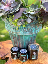 Load image into Gallery viewer, Glaze - 8 oz