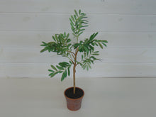 Load image into Gallery viewer, Small Artificial Tree