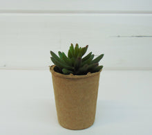 Load image into Gallery viewer, Artificial Succulent In Paper Pot #4