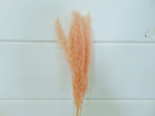 Load image into Gallery viewer, Artificial Pink Pampas Grass Stalk