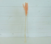 Load image into Gallery viewer, Artificial Pink Pampas Grass Stalk