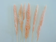 Load image into Gallery viewer, Artificial Pink Pampas Grass Stalk