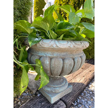 Load image into Gallery viewer, Concrete Garden Florentine Planter/Pot