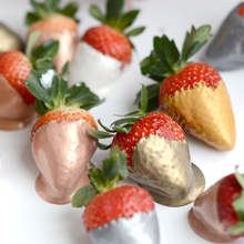 Load image into Gallery viewer, Heavy Metals Metallic Gilding Paint