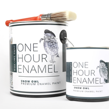 Load image into Gallery viewer, Wise Owl One Hour Enamel Paint - Gallon
