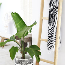 Load image into Gallery viewer, Decorative Teakwood Ladder