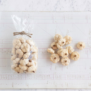 Dried Natural Peepal Pods in Bag