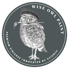 Wise Owl Paint