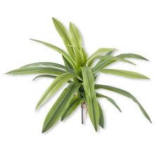 Load image into Gallery viewer, Real Touch Agave Foliage Spray
