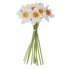 11 Inch Real Touch Daffodil Bundle