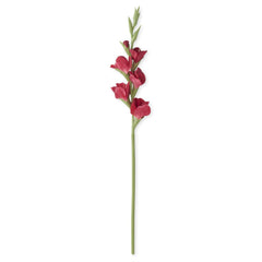 34 Inch Real Touch Gladiolus