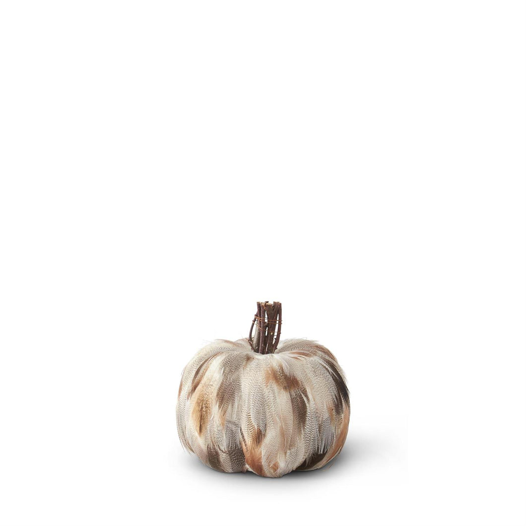 Gray & Brown Feather Pumpkin