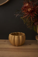 Load image into Gallery viewer, Spiced Pumpkin Pot
