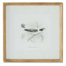 Load image into Gallery viewer, Bird Sketch in Wood Frame
