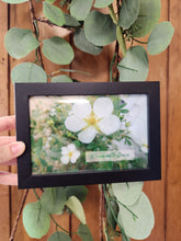 Load image into Gallery viewer, Lacey&#39;s Inspirational Frames
