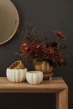 Load image into Gallery viewer, Spiced Pumpkin Pot
