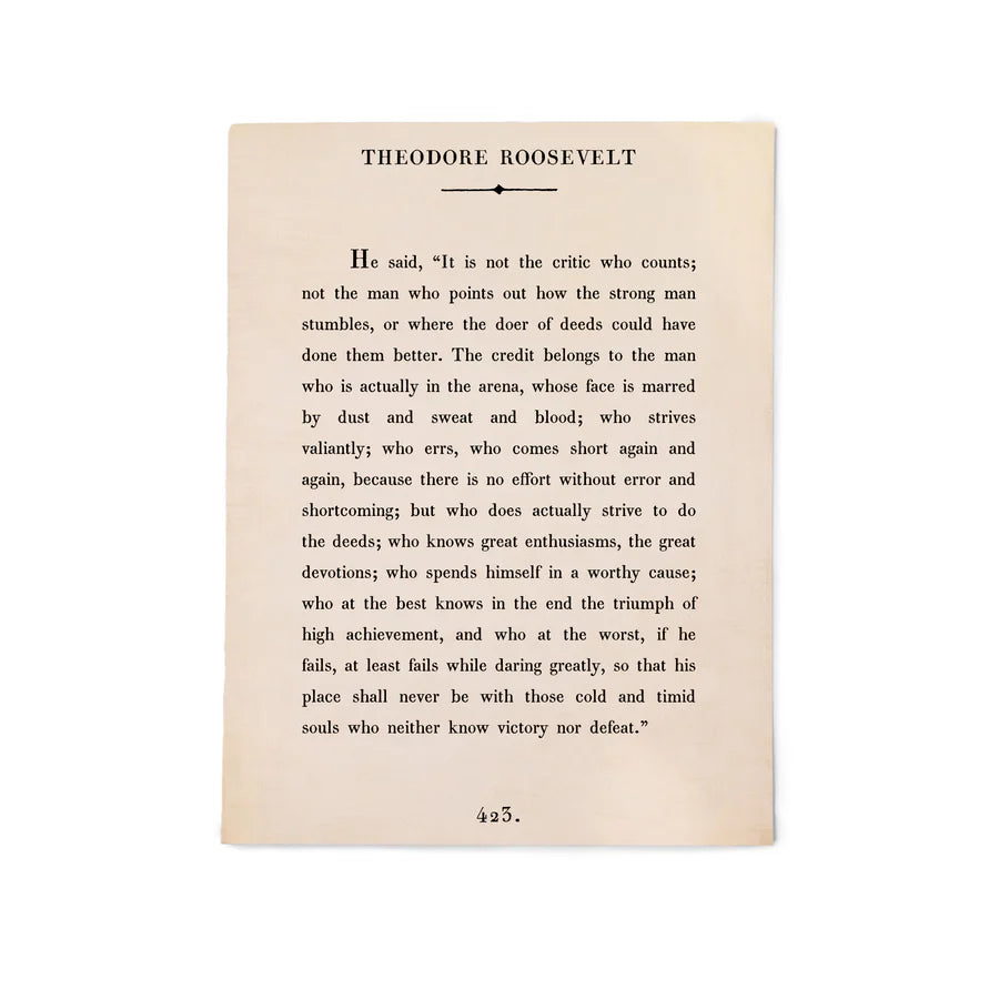 Theodore Roosevelt Book Collection Art Poster