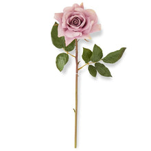 Load image into Gallery viewer, 20 Inch Real Touch Duchess Rose Stem
