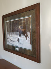 Load image into Gallery viewer, Winter Forage - Moose Picture By Kevin Daniel
