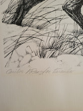 Load image into Gallery viewer, Carribu Sketch by Dick B.
