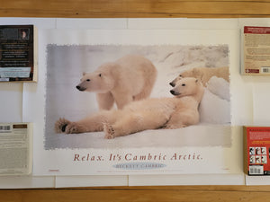 Polar Bears Poster