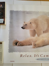 Load image into Gallery viewer, Polar Bears Poster
