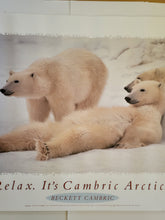 Load image into Gallery viewer, Polar Bears Poster
