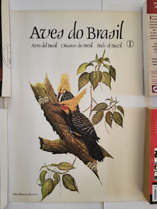 Birds of Brazil Vintage Poster Set