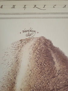 North American Prairie Bison Poster