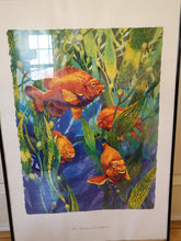 Load image into Gallery viewer, Framed Fish Picture Wall Decor
