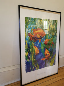 Framed Fish Picture Wall Decor